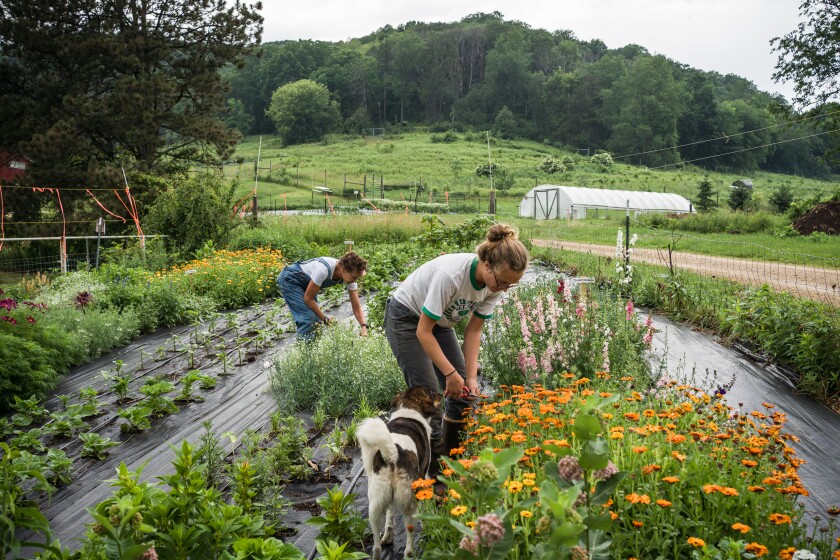 Bluff Valley Farm
