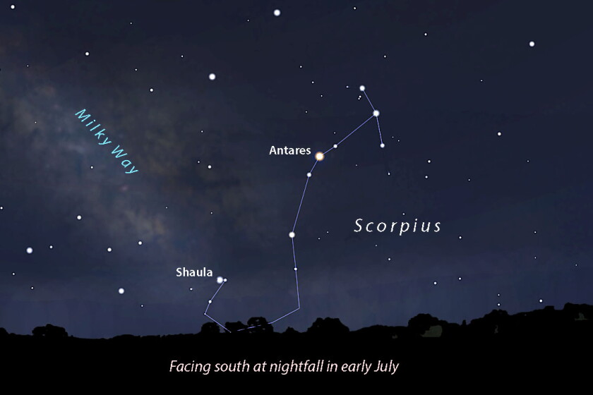 Scorpius Images Astro Bob: Meet Scorpius, Minnesota's only indigenous scorpion - Duluth ...