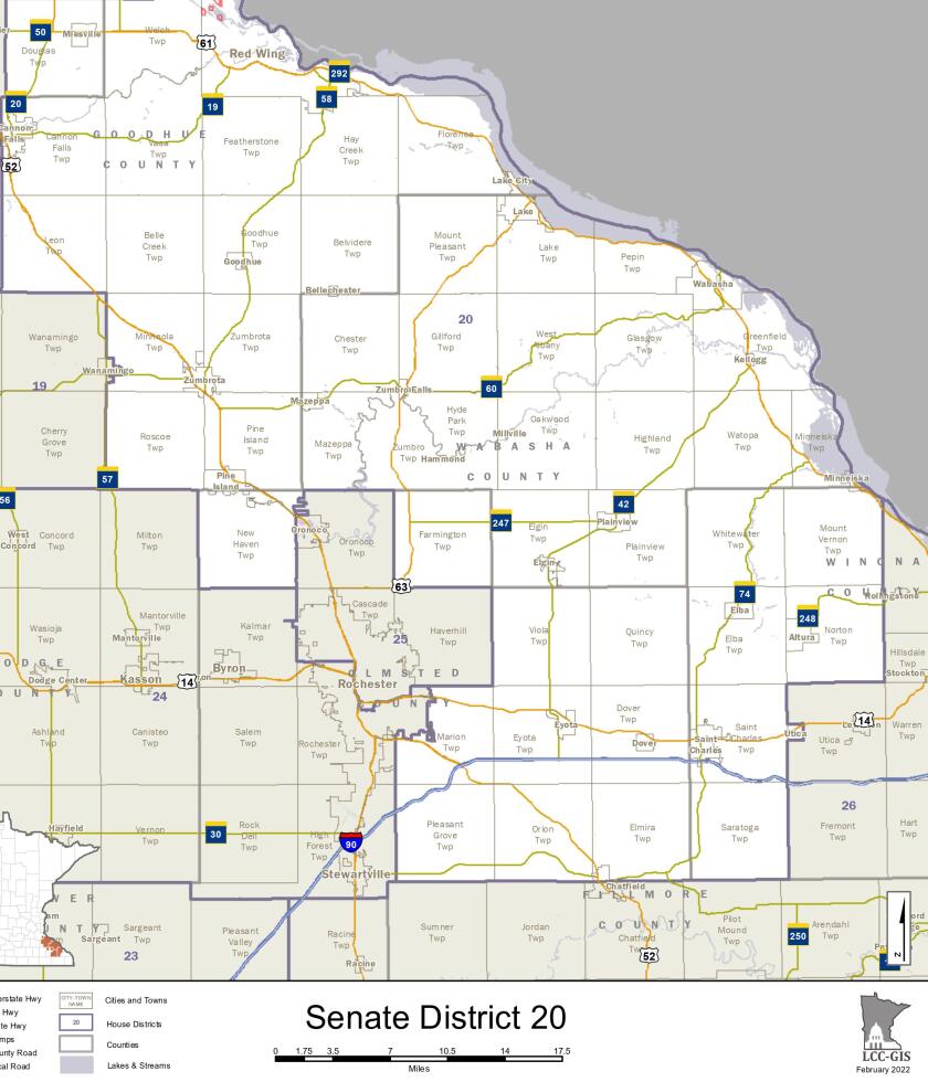 Election 2022 Senate District 20 Post Bulletin Rochester Minnesota