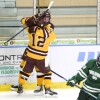 high school boys play hockey