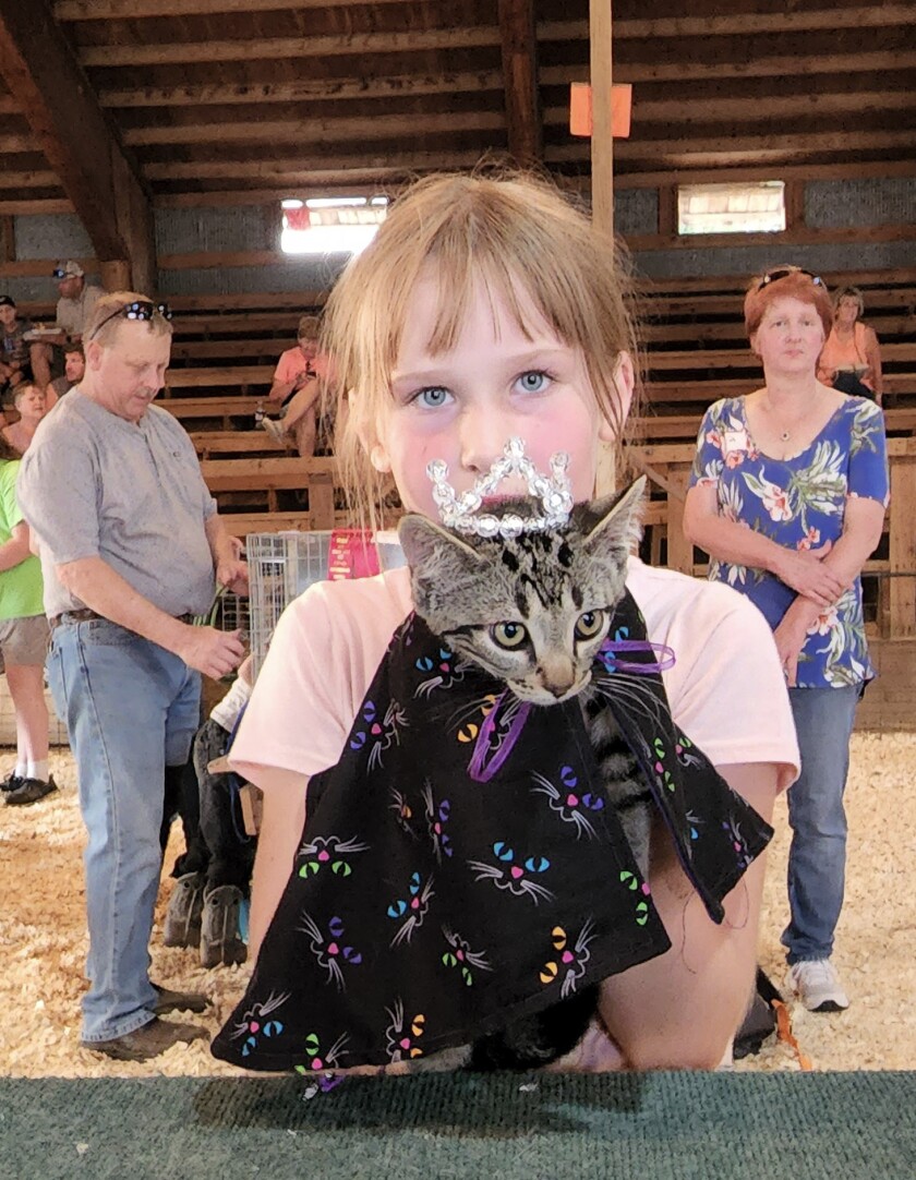 Abagail Nickel, of Mountain Lake, holds Curls shortly after the kitten was crowned queen of the Household Cat & Kitten Show on Wednesday, Aug. 10, 2022, at the Jesse Oleson Pavilion during the Cottonwood County Fair.