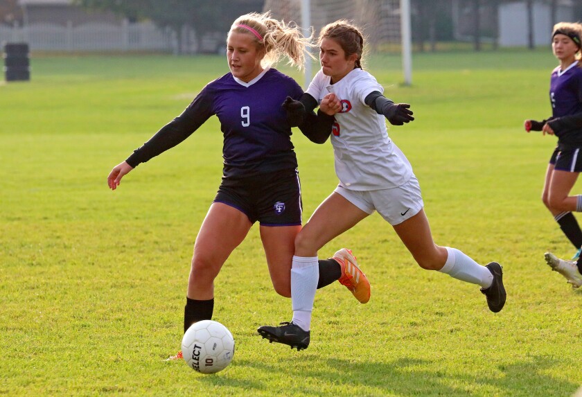 Soccer players vie for the ball