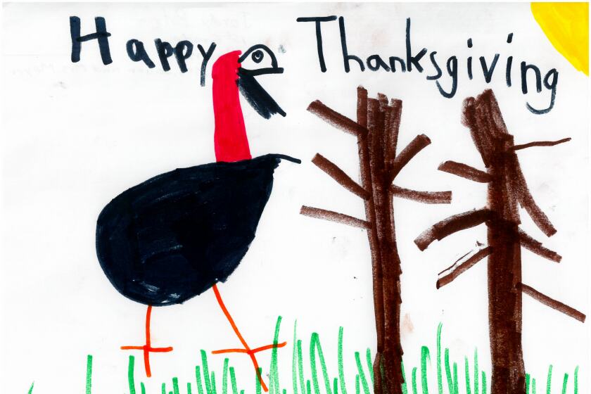 Drawing of a turkey near some trees.