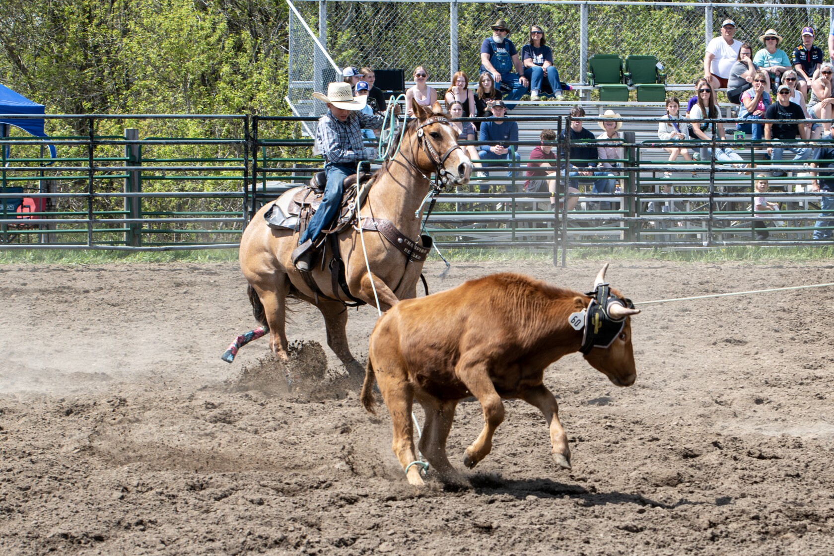 Rodeo in Pine River shows off local talent - Pine and Lakes Echo ...
