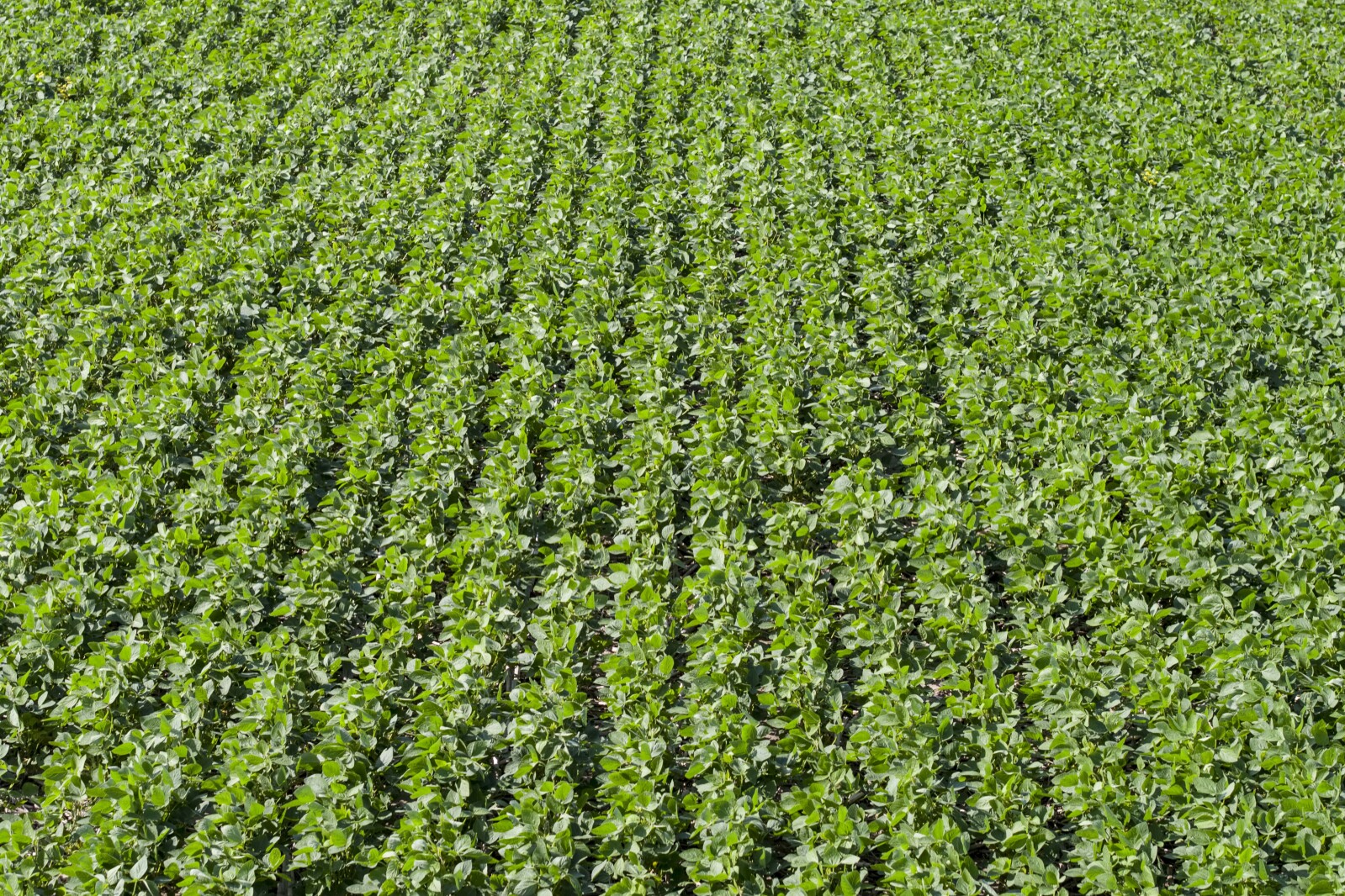 Minnesota Farm to School Roadshow to stop in Bagley March 26