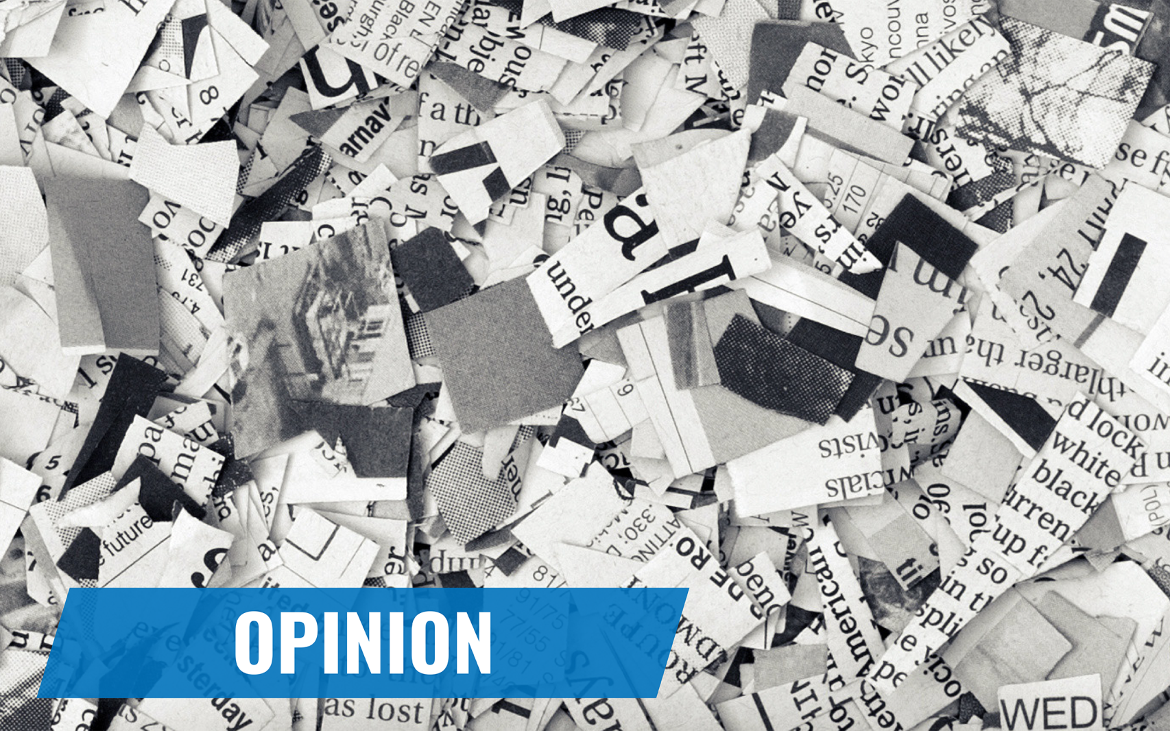 Guest column: Why I ran for school board and why I still believe in our ...