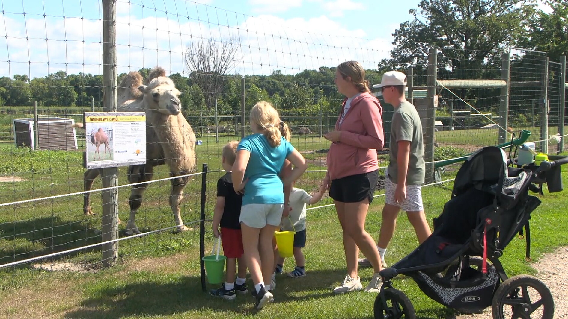 Community rallies behind Trowbridge Creek Zoo near Vergas