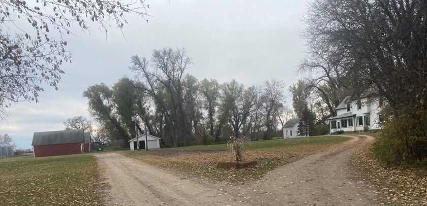 ANN FARM (4)