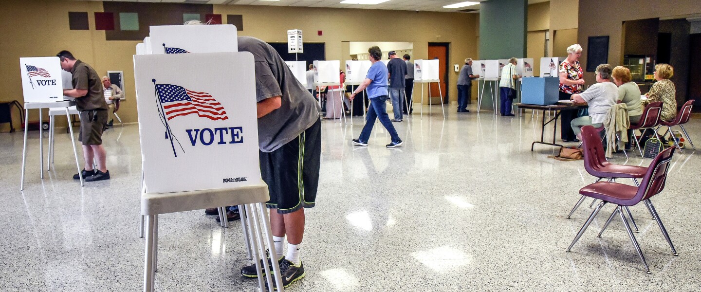 1767386+voteing.jpg