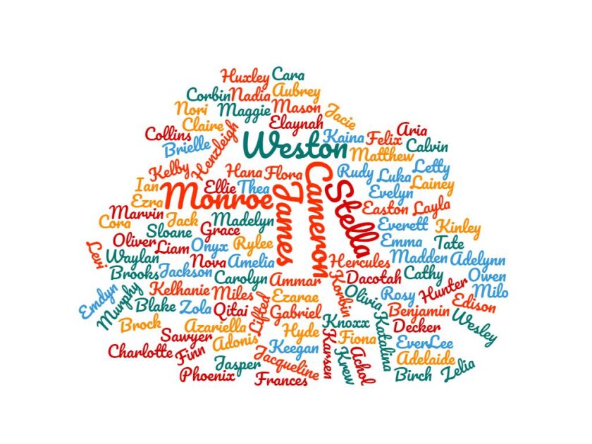 A word cloud with Cameron, James, Stella, Monroe, and Weston as the largest words.