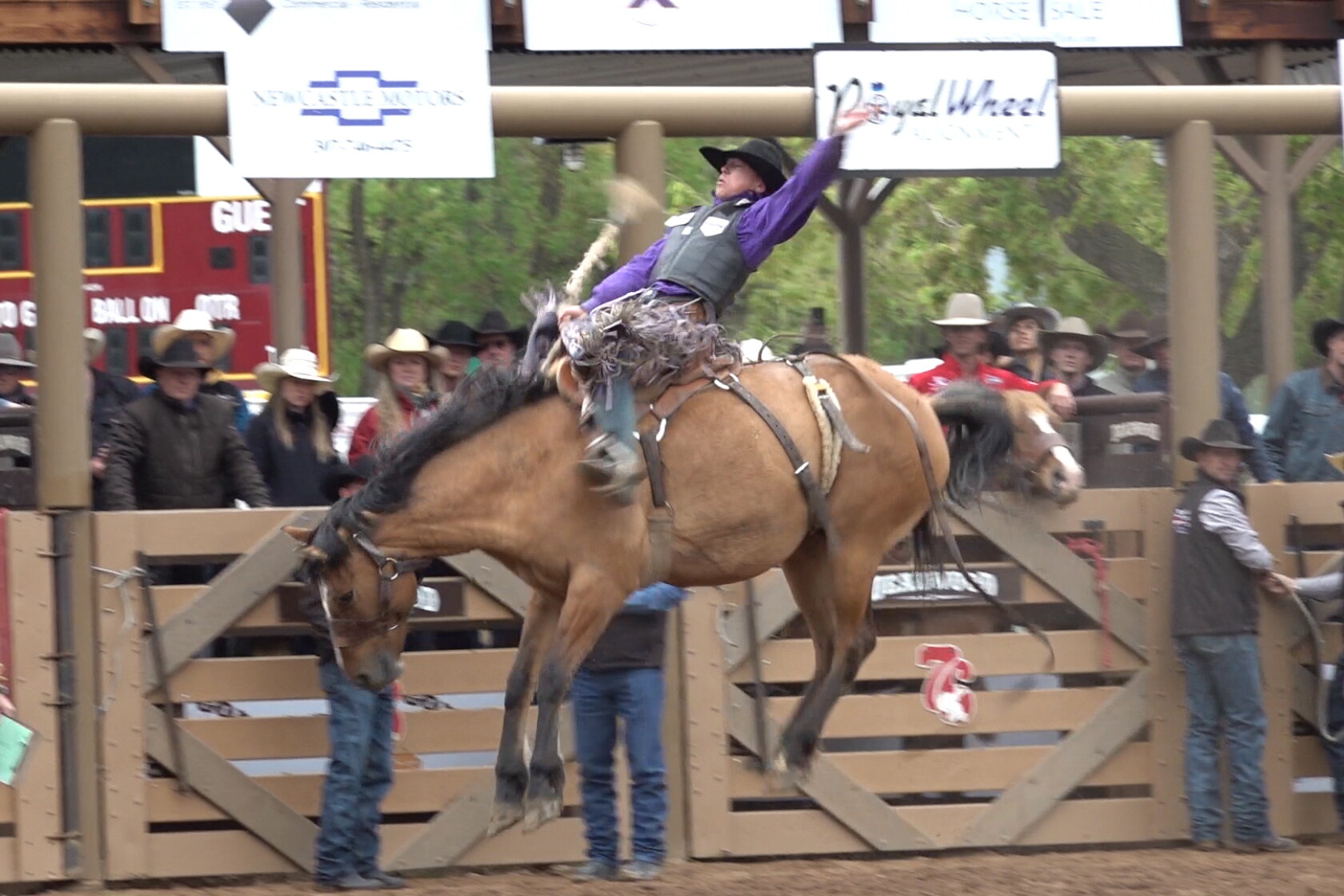 Redwood Rodeo Back When They Bucked Rodeo Completes Fifth Year - Rapid City, South ...