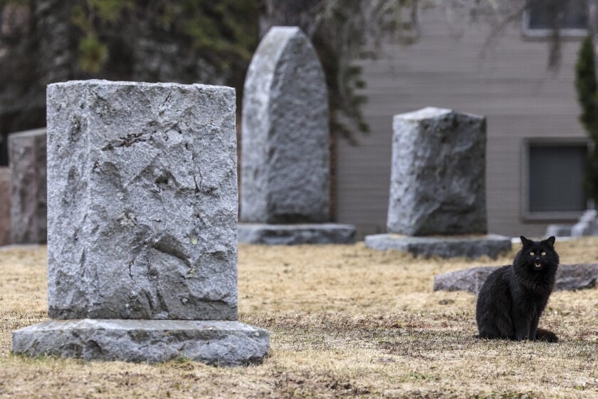woman documents gravestones