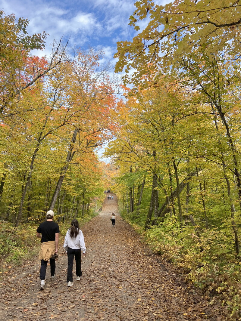 Northern Minnesota Fall Colors Emerge Earlier Than Usual