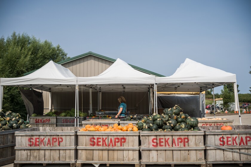 Sekapp Orchard