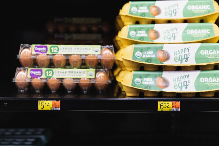 Eggs on a shelf.