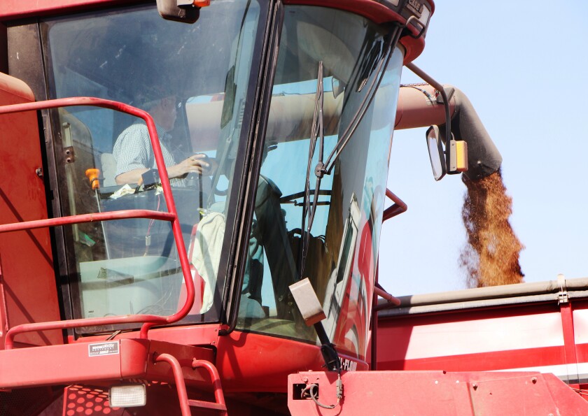 A farmer sits in his combine cab, left, monitoring the release of flax seeds he unloads from a combine spout and into a waiting farm truck box.