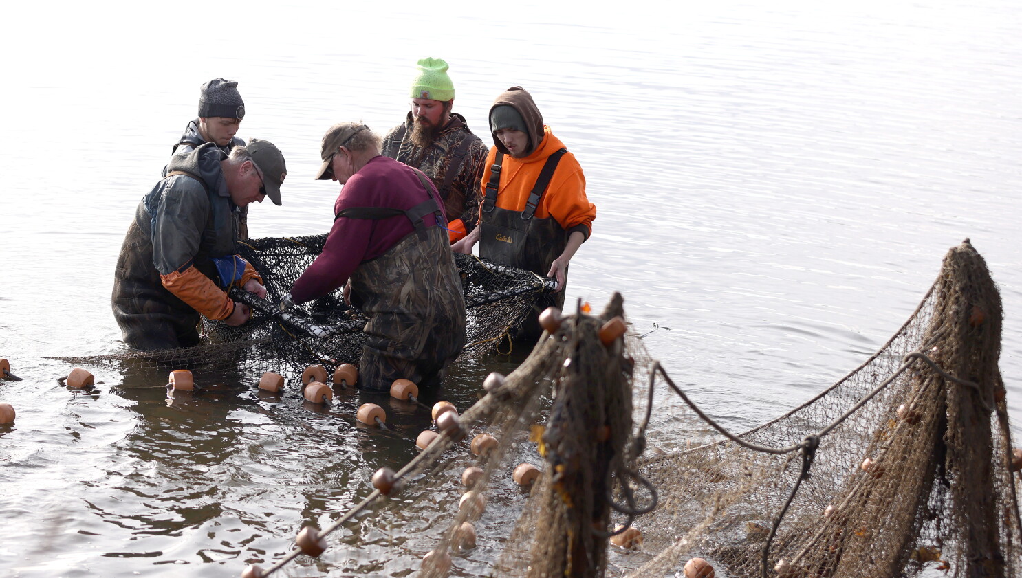 Evasive carp avoid the nets again on Lake Okabena - The Globe | News, weather, sports from Worthington, Minnesota Evasive carp avoid the nets again on Lake Okabena - The Globe | News, weather, sports from Worthington, Minnesota