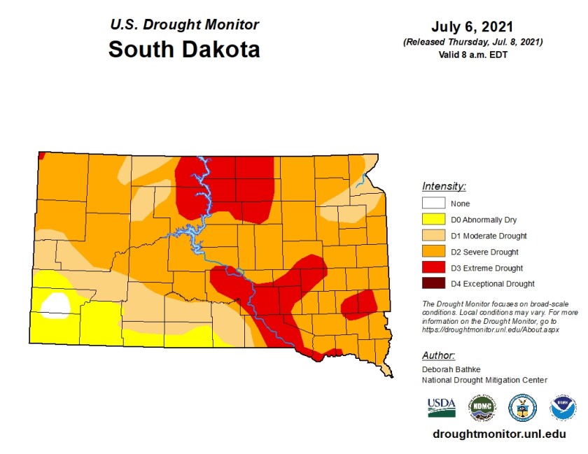 NewDrought1July6-21.jpg