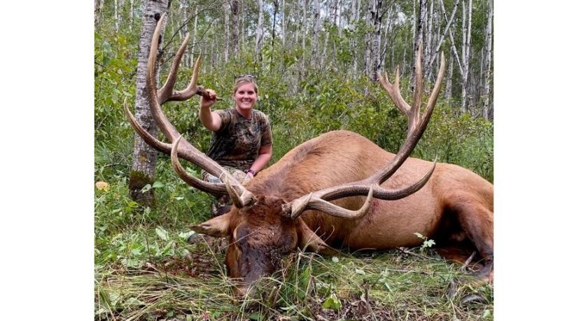 Lacey Lupien elk.jpg
