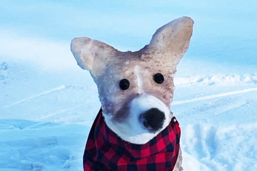 Snow sculpture of dog