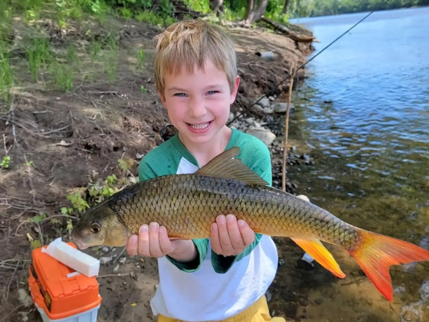 DNR plans changes to protect native rough fish - InForum | Fargo ...