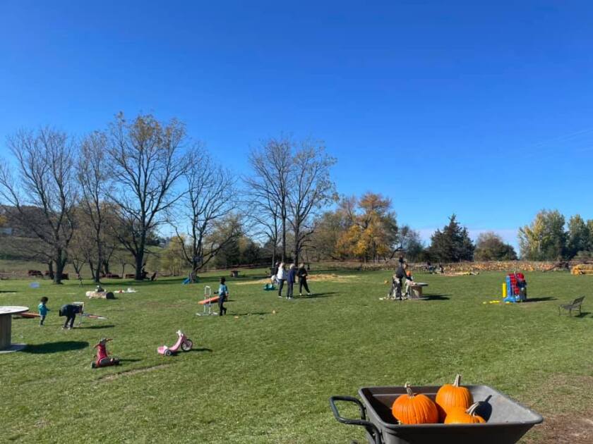 Field full of games at Sam's Pumpkin Patch.jpg