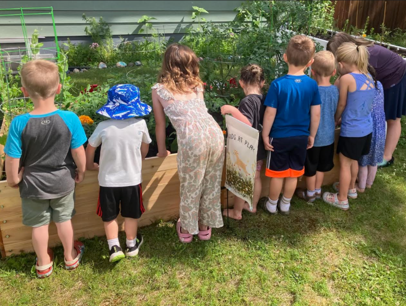 Community gardens sprout up across Carlton County