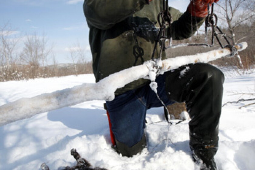 catching a beaver with fishing pole Dam - Beaver Dam Carbon Fiber Combo The Beaver Dam 26 inch Flat Ice Fishing Rod Combo is designed for exceptional bite detection and all Beaver trapper carries on centuries-old