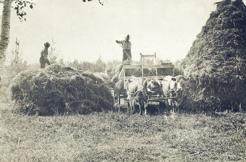 1389 Solway, 1913 Fredrickson Farm.jpg