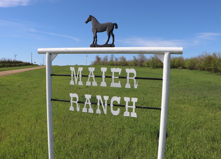 The Maier Ranch headquarters sign includes the name and a horse on the top, flanked by green grass, a field windbreak, and a blue sky.