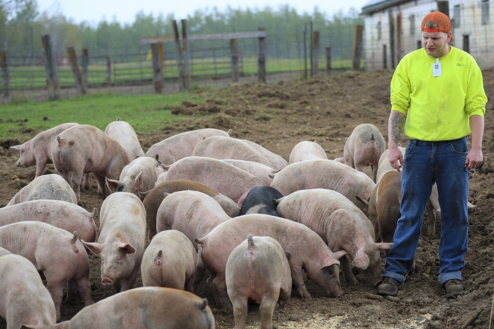 Inmates learn farming, trade skills at Duluth correctional facility