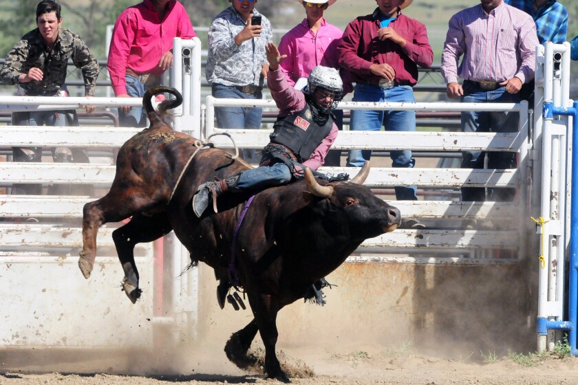 Killdeer's rodeo to be the largest in its 97 years of competition - The ...