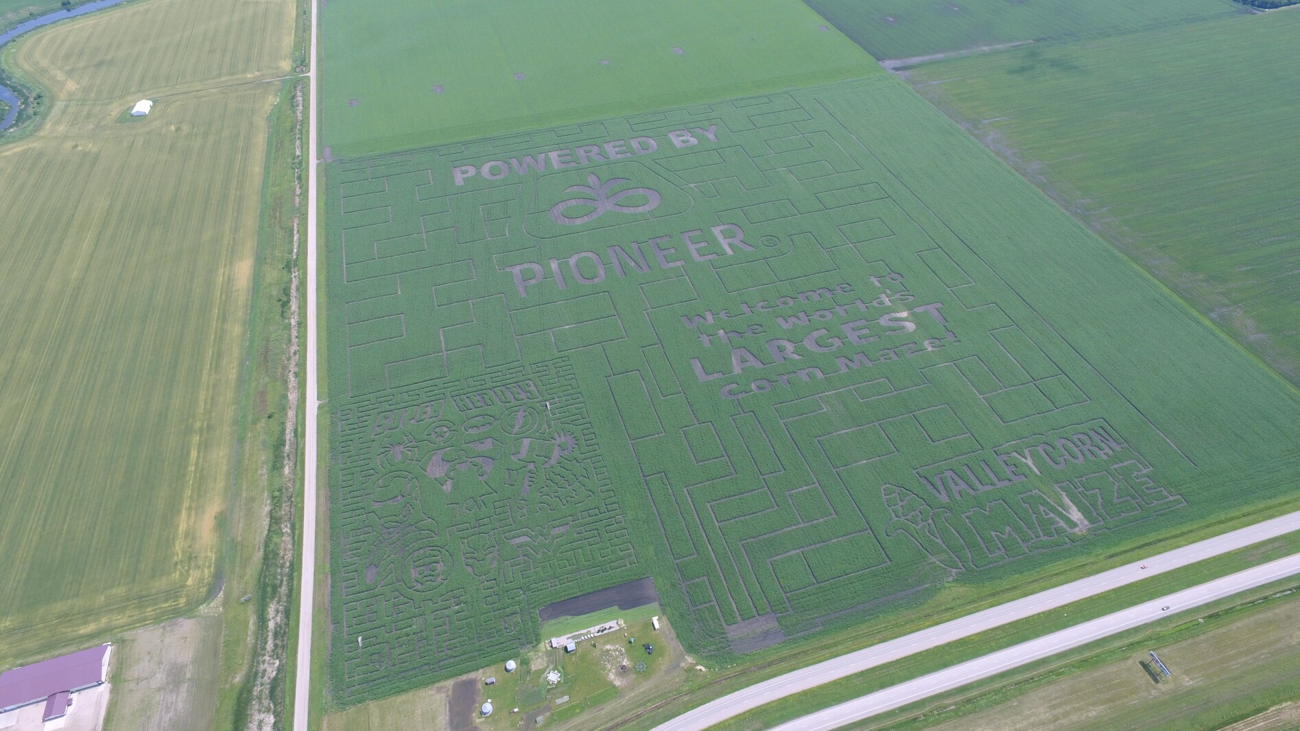 Largest corn maze in world? Minnesota maze plants a whopper for 10th anniversary