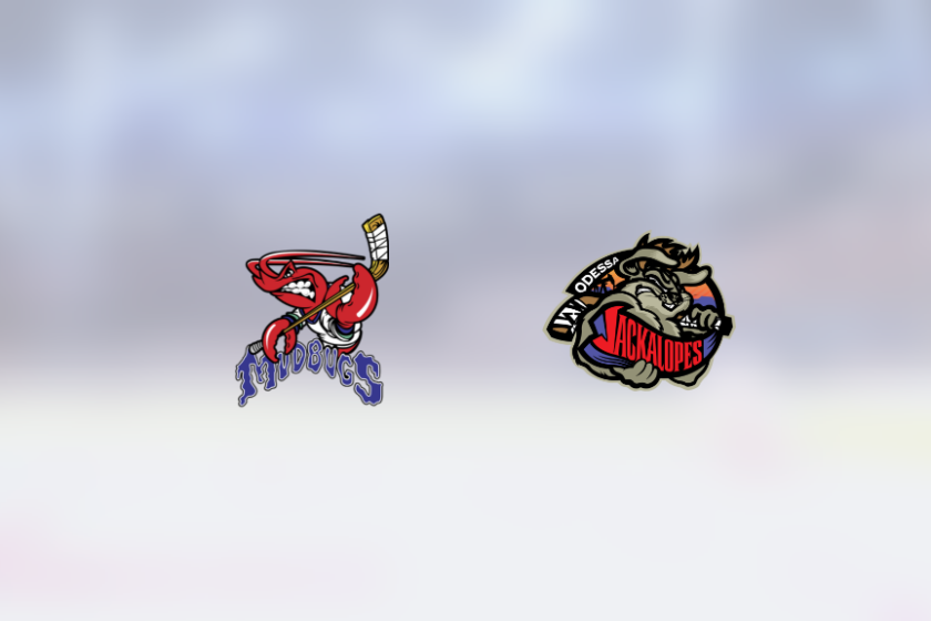 img_500230693_rinklive.png