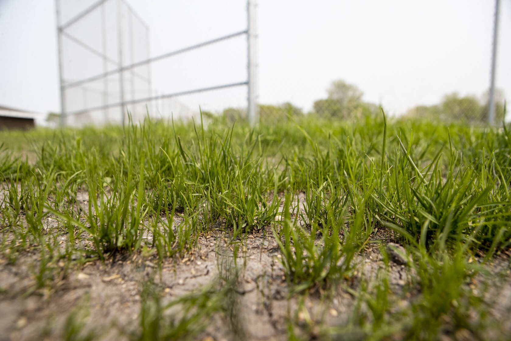 Willmar Civic Center softball/baseball fourplex will be open Thursday