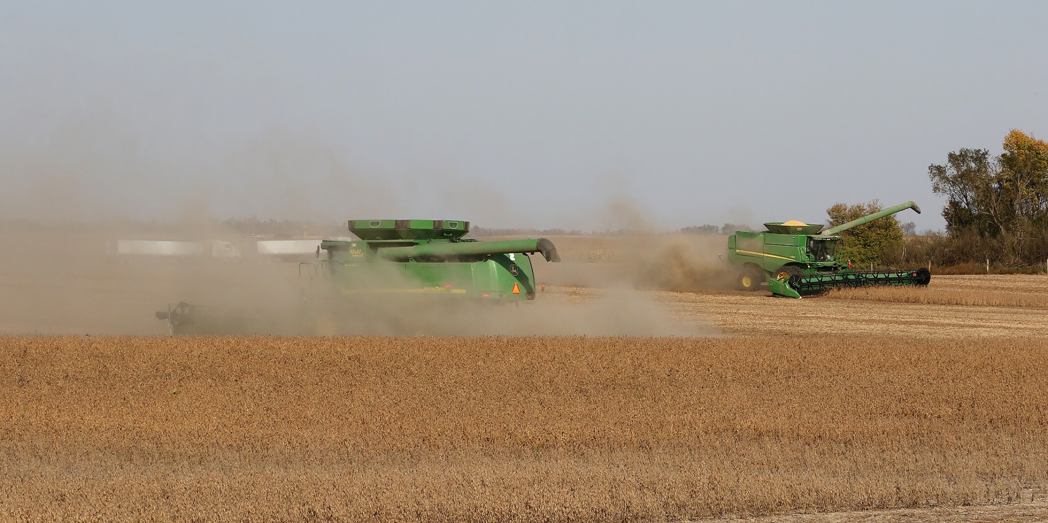 Good weather expedites soybean harvest, but farmers face market woes