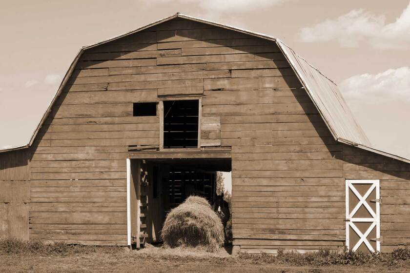 081322-last-windrow-red-barn.jpg