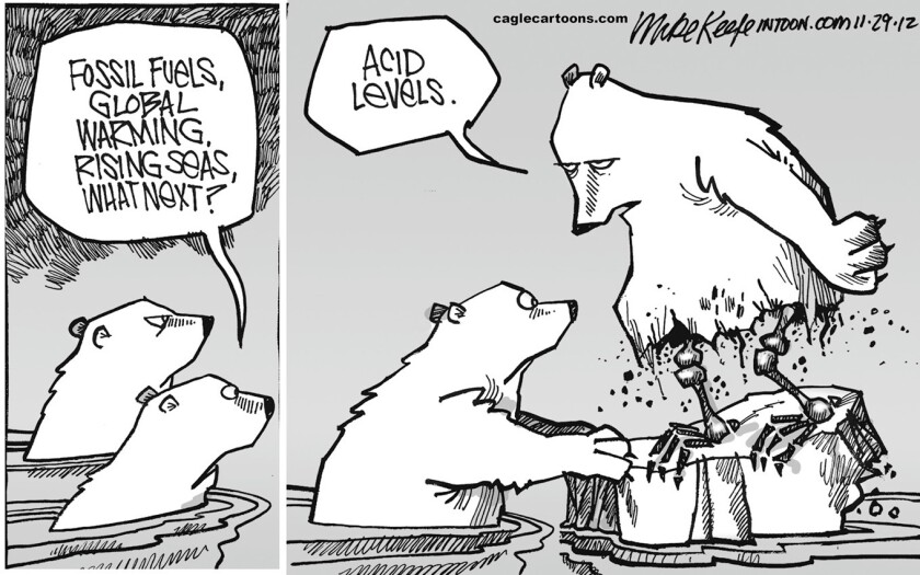 Cartoonist's View