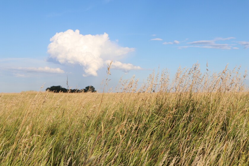 A cloud stands like a hot-air balloon over native prairie sod and grass.