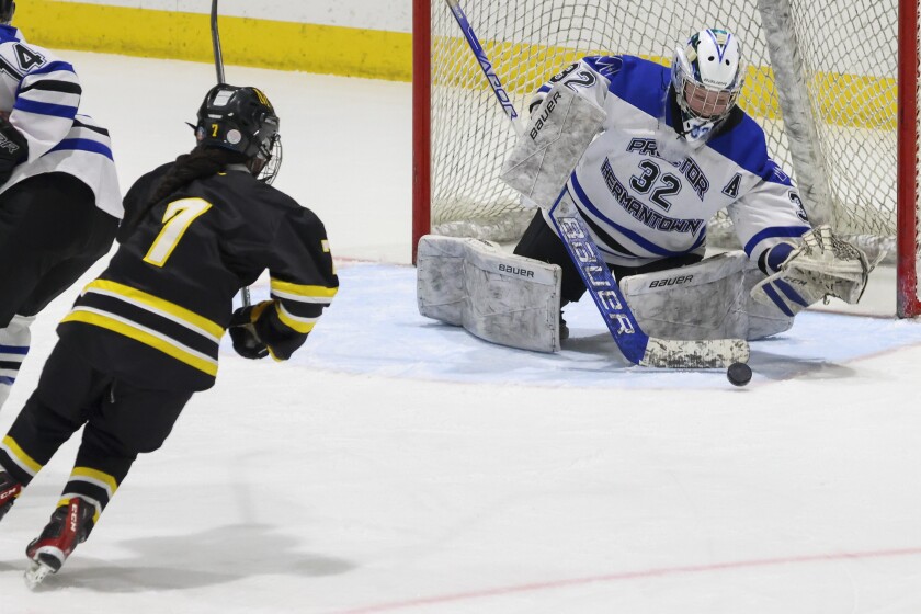 Proctor/Hermantown girls hockey shut out Marshall School to win Section 7A Final.