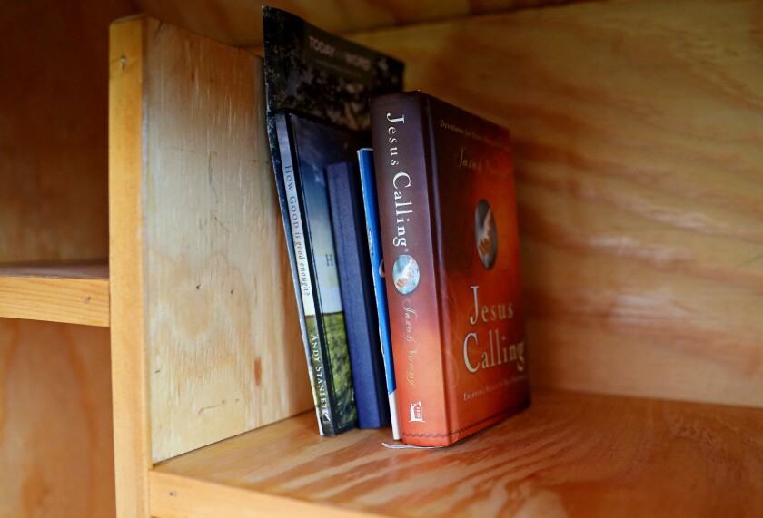 Ty's books in the little free library.