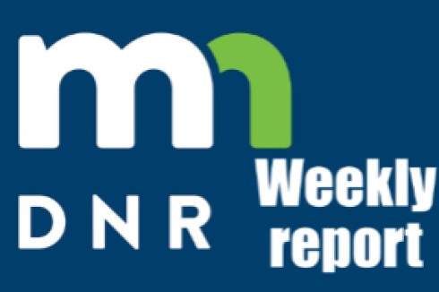Minnesota DNR Report logo