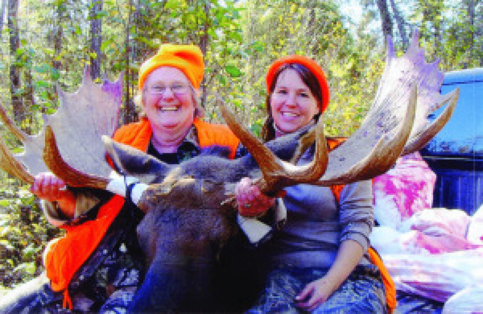 This moose story is one for the ages - Duluth News Tribune | News ...