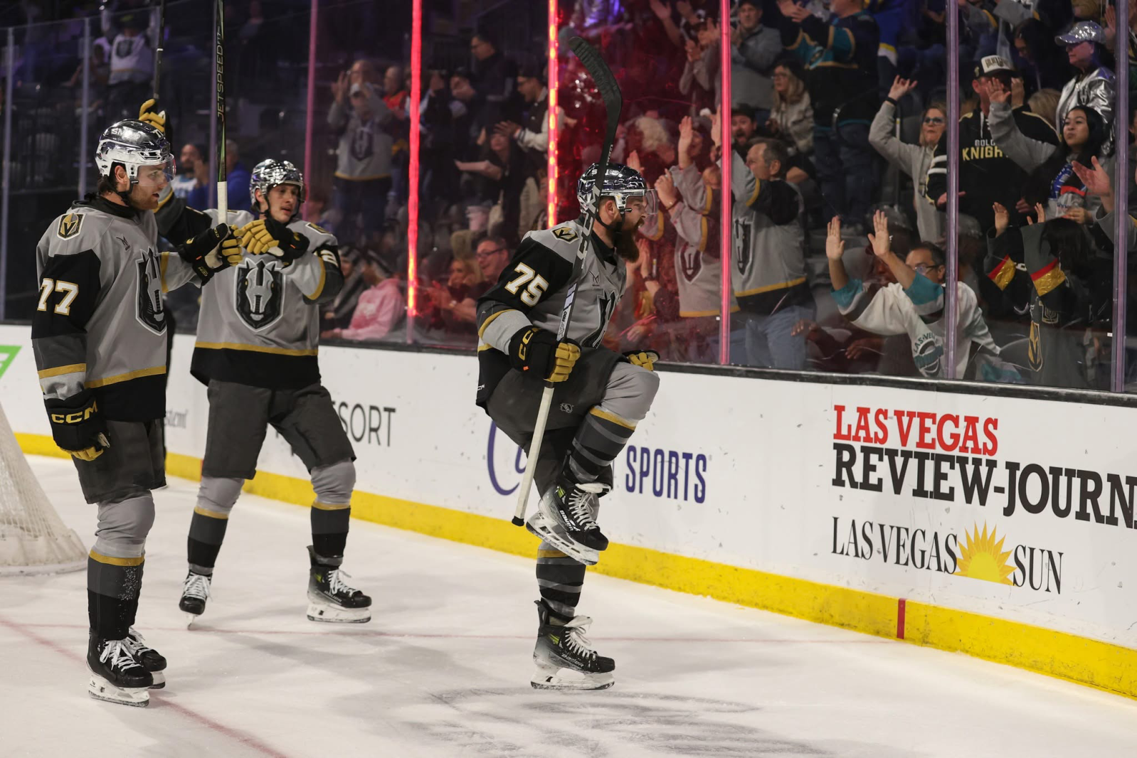 Hockey: Charity hockey game to host multiple NHL players in Brainerd