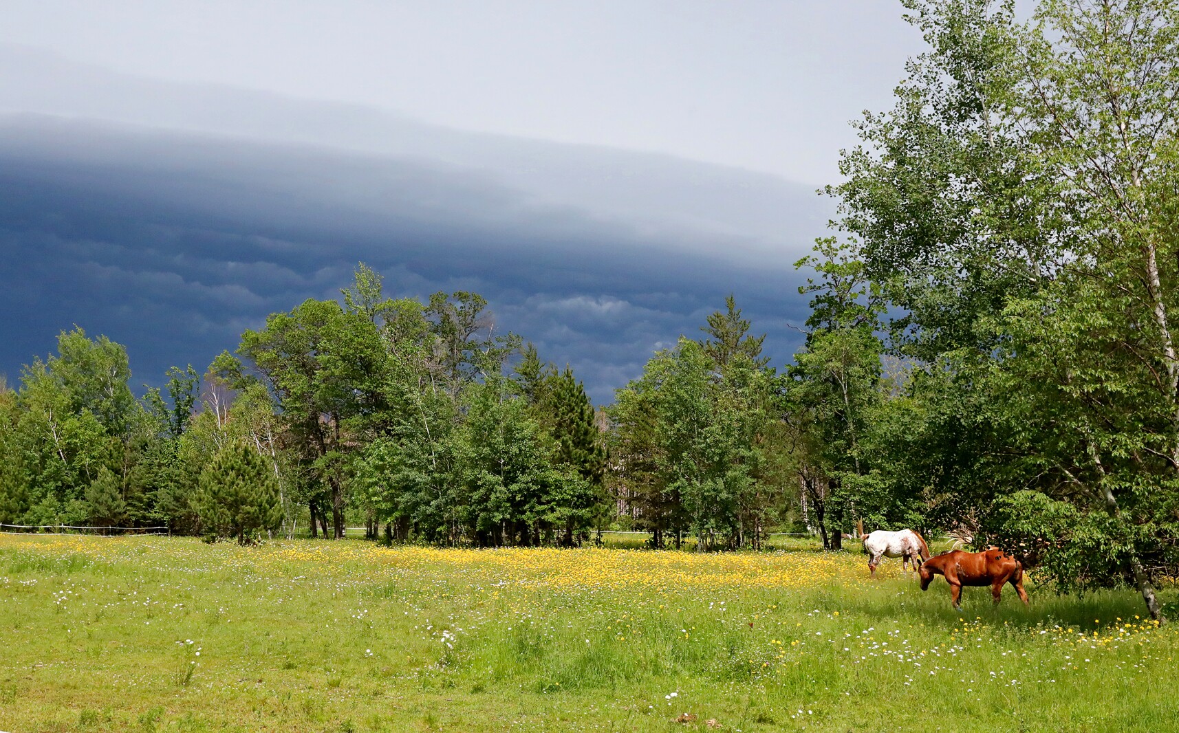 Dramatic looking storm clouds move through the area Saturday, June 18, 2022, in the Brainerd lakes area.