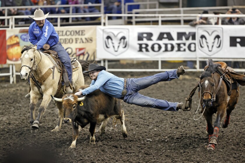 PRCA Rodeo brings top riders, fierce competition to Fargodome - InForum ...