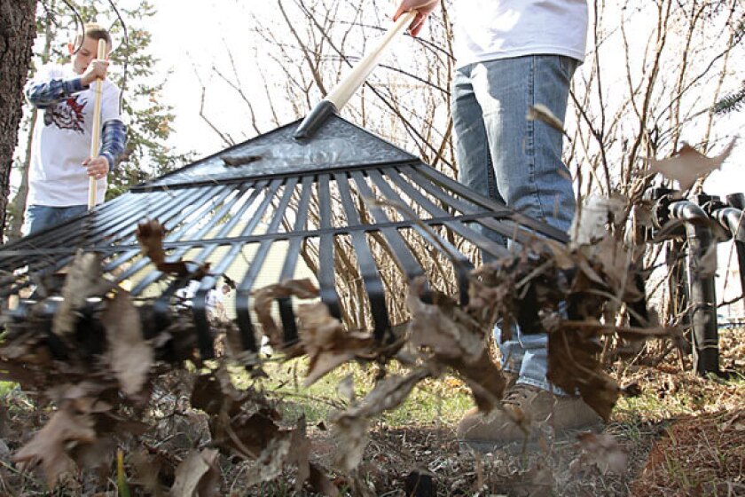 RAKING A YARD