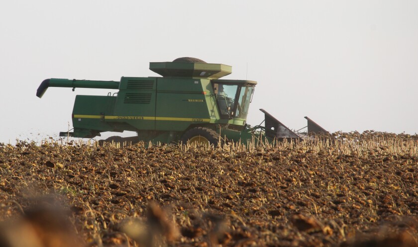 101920.AG.SunflowerHarvestSituation02.jpg