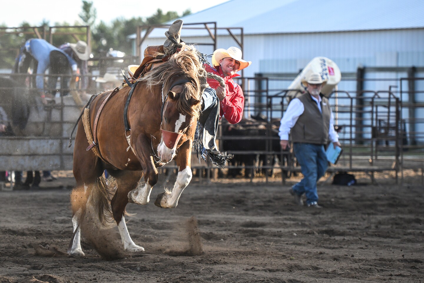 Wojo’s Rodeo brings broncs and barrels to Beltrami County Fair - The ...