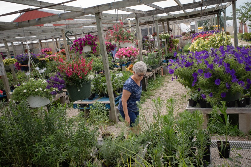 Super Fresh Produce and Garden Center
